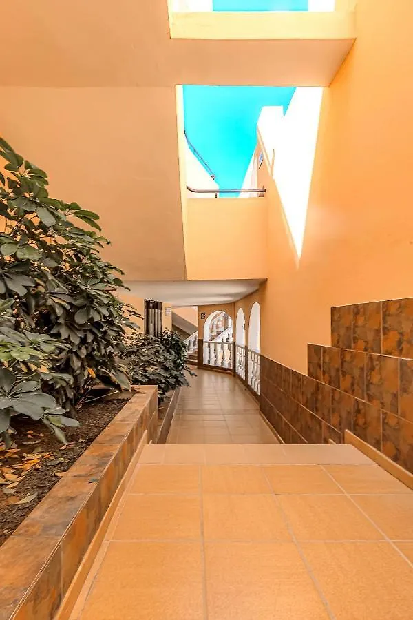 Recently Renovated Seaviews Paradise Court Costa Adeje  0*, Costa Adeje (Tenerife) Spain
